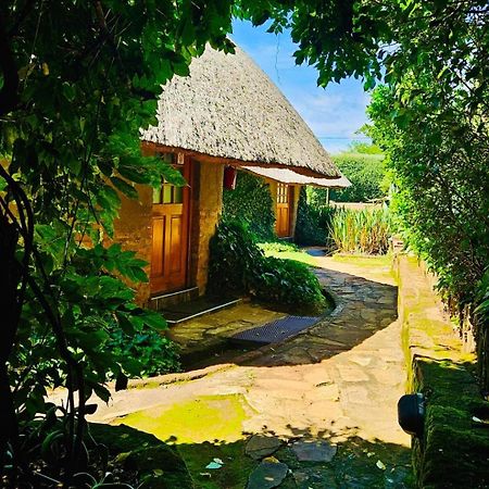 Bird Haven Guesthouse Hlotse Esterno foto